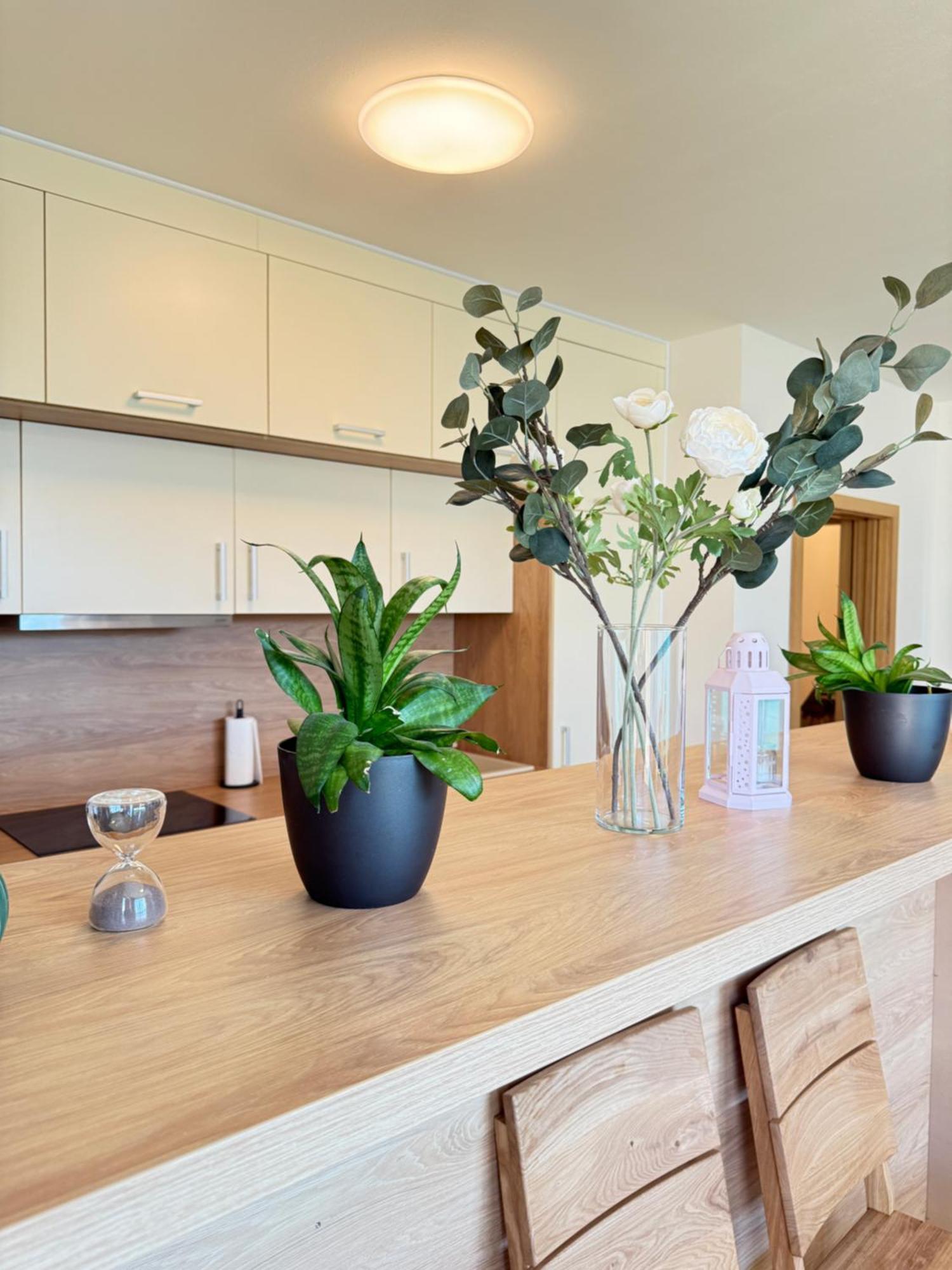 Familyvilla, New 4 Luxury Big Apartments, Parking Apartmán Praha